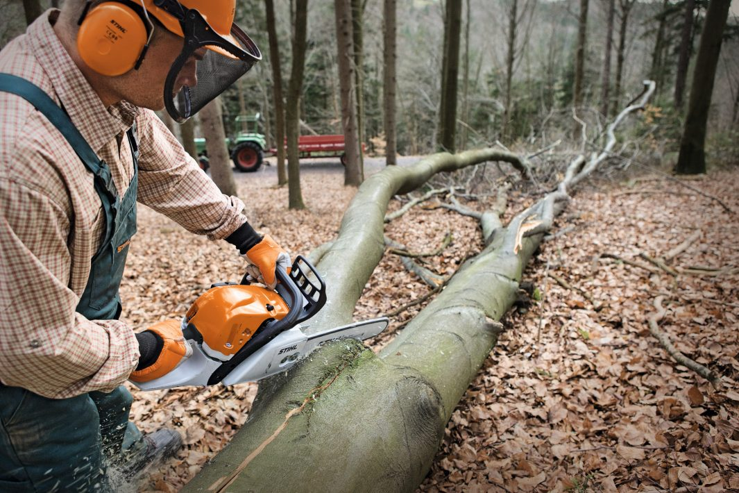 GASOLINE CHAINSAW MS 391